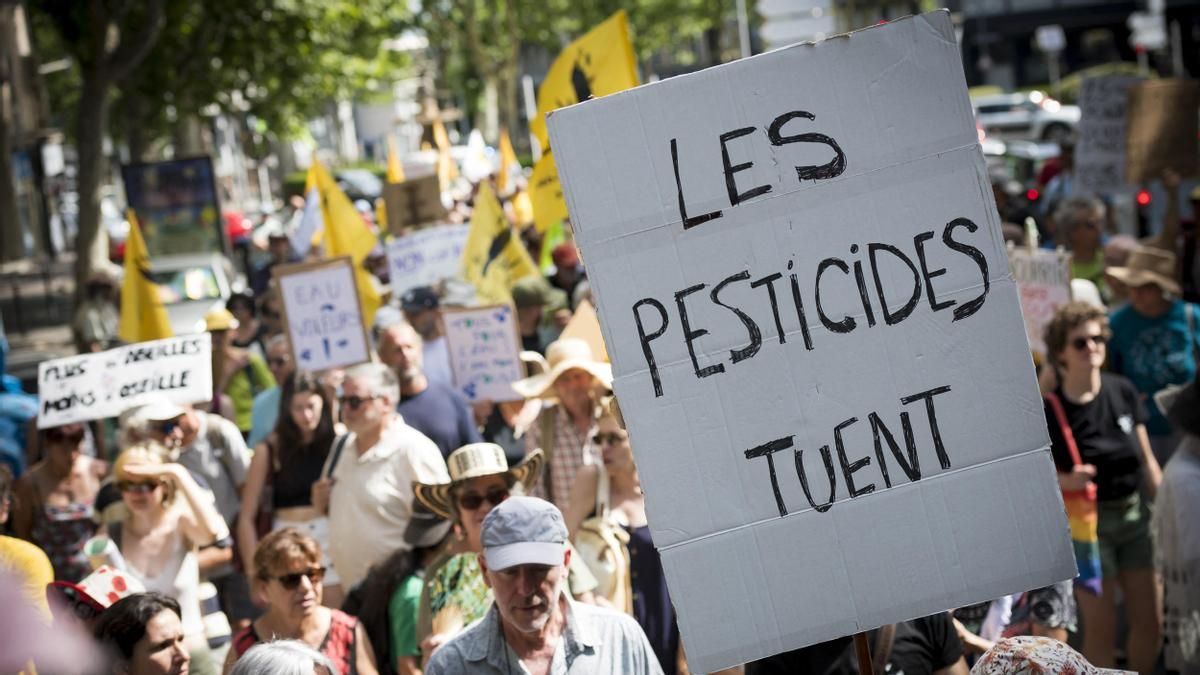 El Gobierno francés aviva la polémica al reintroducir un pesticida peligroso para la salud, pese a las movilizaciones en contra