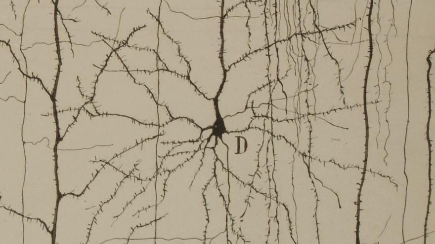 Más de un centenar de piezas enseñan al Cajal científico, humanista y artista