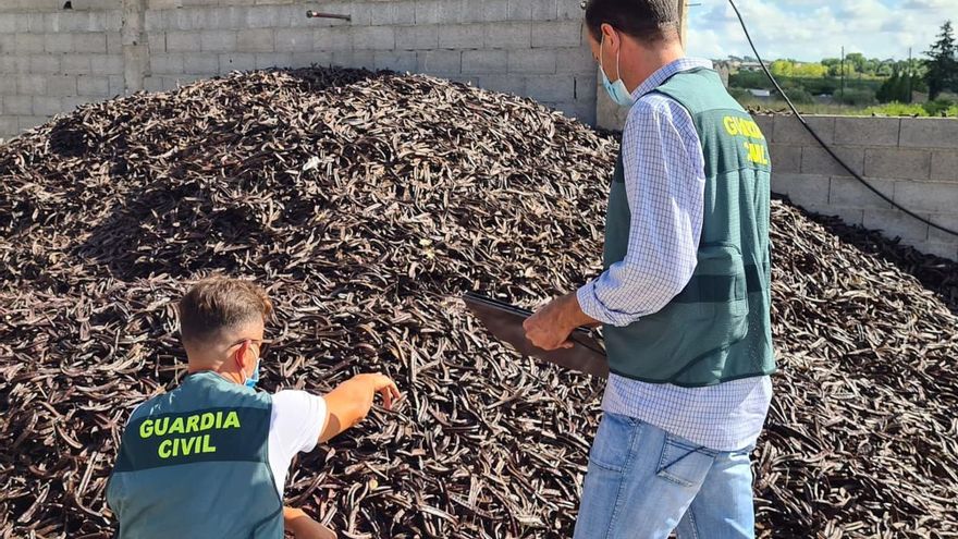Un carregament de garrofes robades decomissades per la Guàrdia Civil.