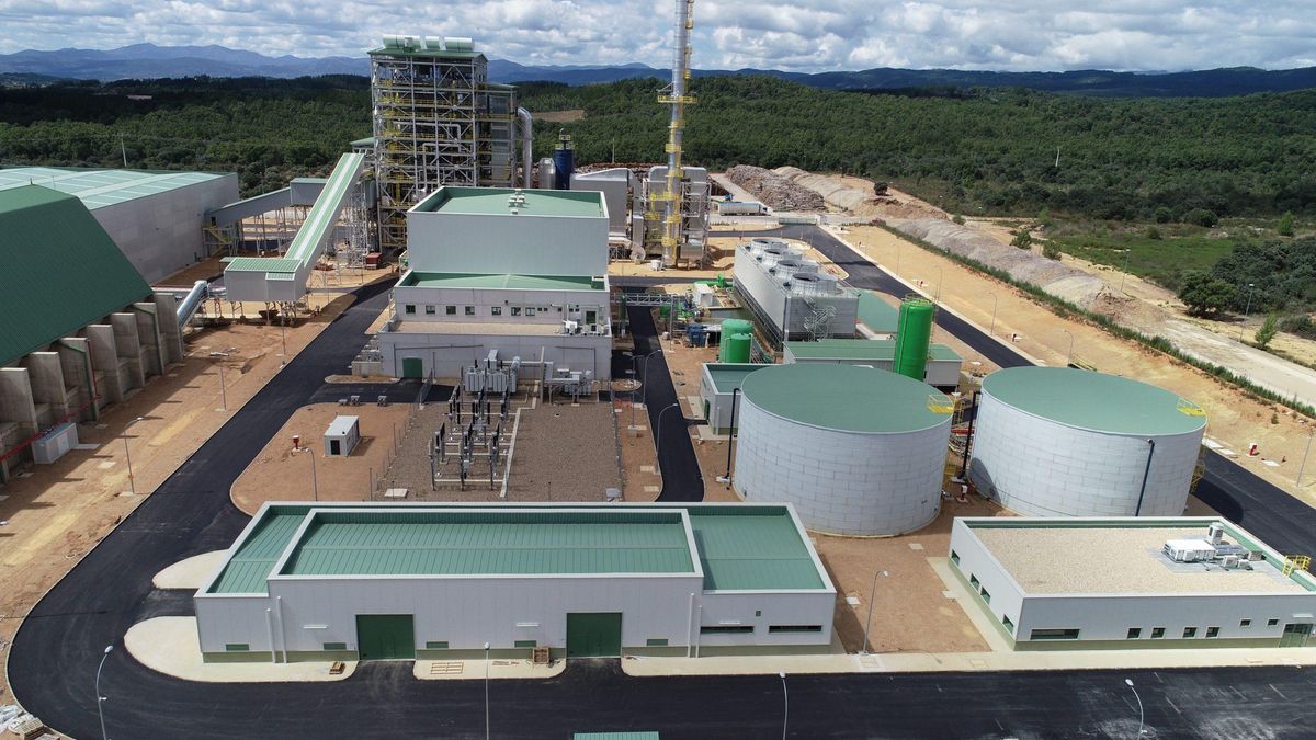Planta de biomasa de Forestalia en Cubillos del Sil, archivo.
