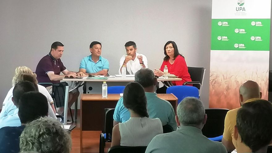 Comité ordinario de UPA