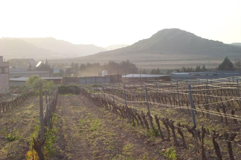 Todas las fotos del concurso 'Disfruta La Rioja' (Parte 2)