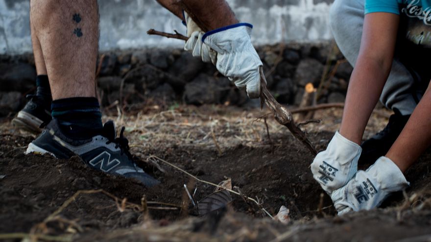 Cathaysa trabaja junto a su pareja en la rehabilitación de su vivienda en El Paso