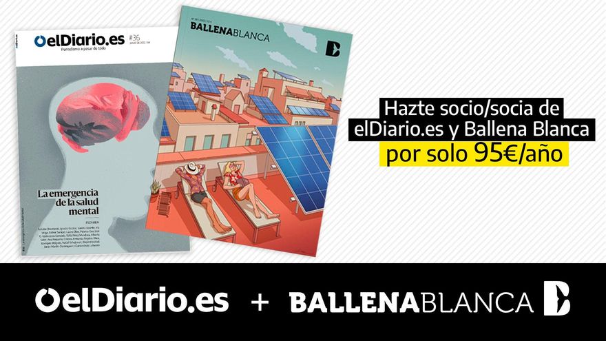 Un roedor convertido en héroe climático: EEUU planea usar castores para combatir la sequía y los incendios