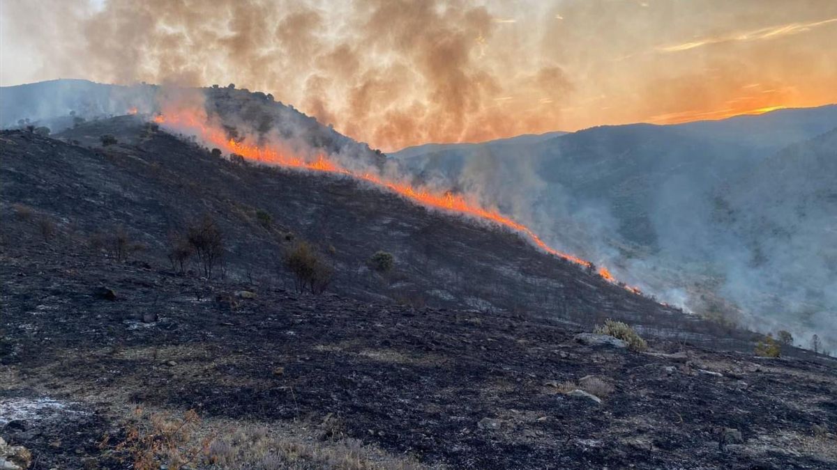 El Gobierno de La Rioja impulsará con 770.000 euros los desbroces para prevenir incendios forestales