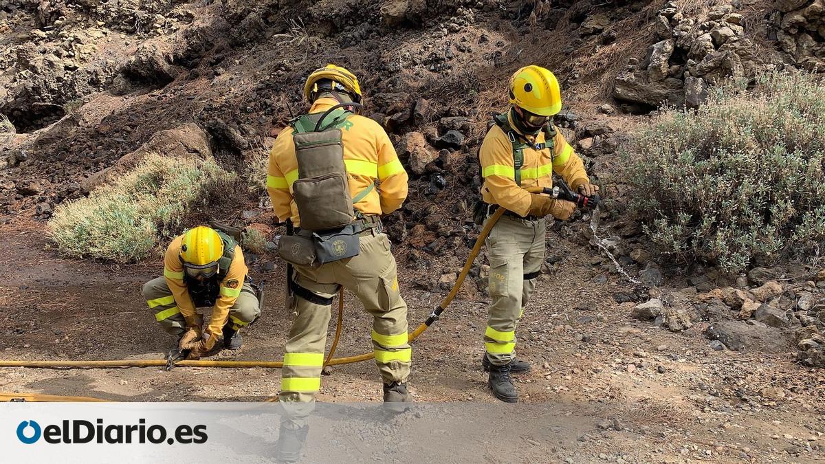 Extinguido un conato de incendio forestal en Tenerife