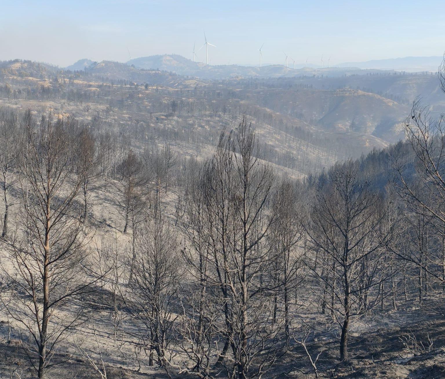Imágenes de la Sierra de Alcubierre, quemada este martes