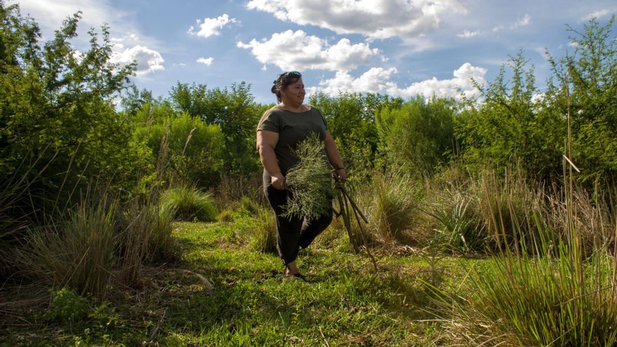 Adriana Rojas caminando por el monte chaqueño de Caraguatá, en las afueras de Resistencia, Chaco.