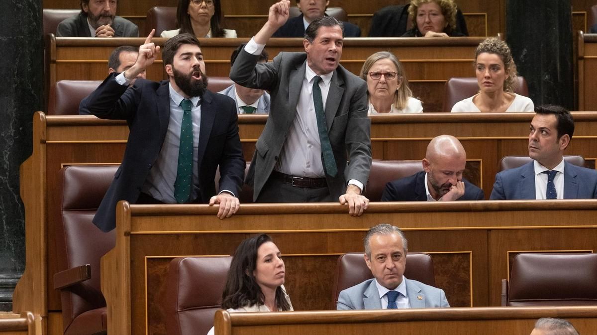 Los diputados de VOX Manuel Mariscal (i) y Pedro Fernández (d) responden a un diputado del PSOE, durante un pleno en el Congreso de los Diputados, a 30 de mayo de 2024, en Madrid (España).
