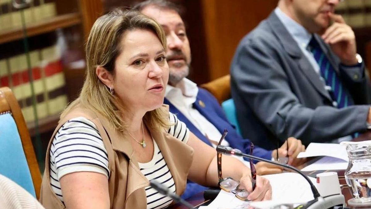 El PSOE busca “el amparo del Parlamento” frente a “la política obstruccionista” del Gobierno canario con las ayudas a los afectados por el Tajogaite