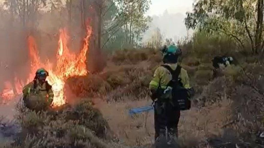 Medios aéreos y cien efectivos por tierra combaten un incendio en Niebla (Huelva) que ha obligado a desalojar dos aldeas
