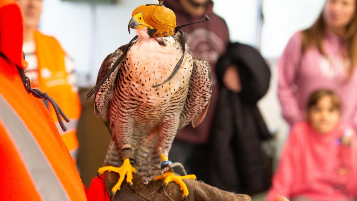 Una actividad en Cogersa