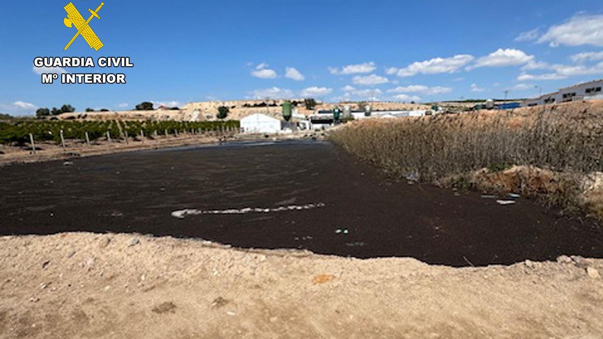 Investigan a cuatro ganaderos por el vertido de los purines de 13.000 cerdos en ramblas de Murcia