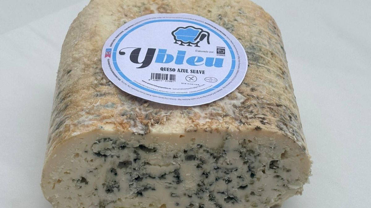 El 'pata de mulo' Ybleu, de una quesería de León, gana la cata internacional de quesos azules en Cantabria