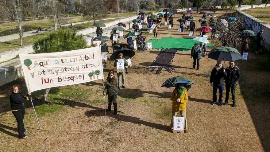 "Aquí falta un árbol": vecinos reclaman más sombras para el parque de Miraflores