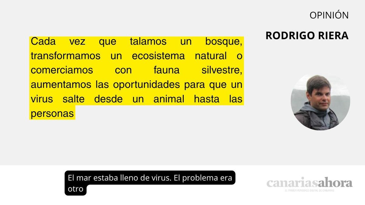 El mar estaba lleno de virus. El problema era otro