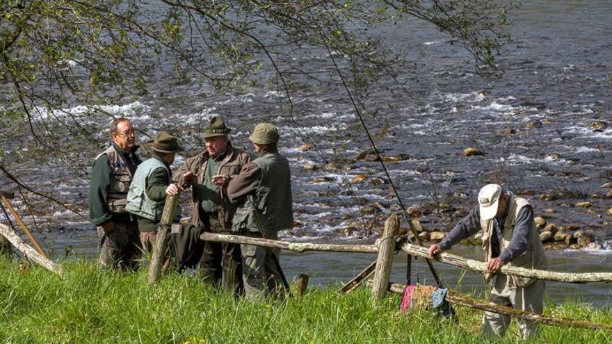 El río Sella da el "campanu" de Asturias, un salmón de 7,1 kilos