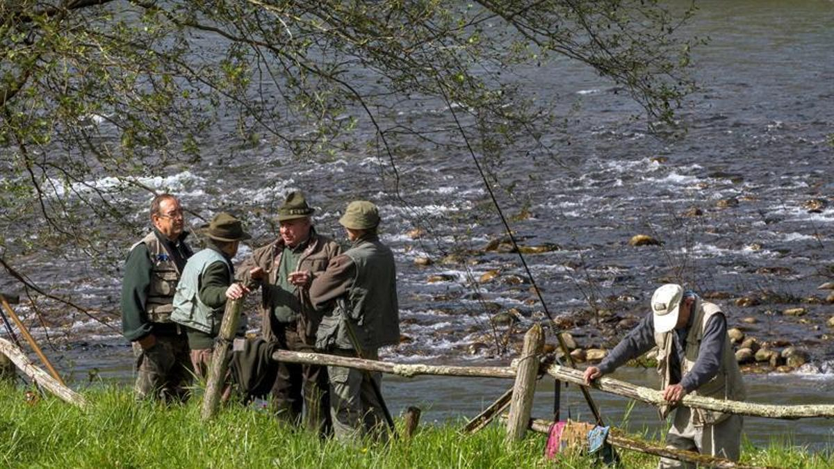 Los pescadores piden prohibir la pesca del salmón en Asturias tras cerrar el peor año de su historia
