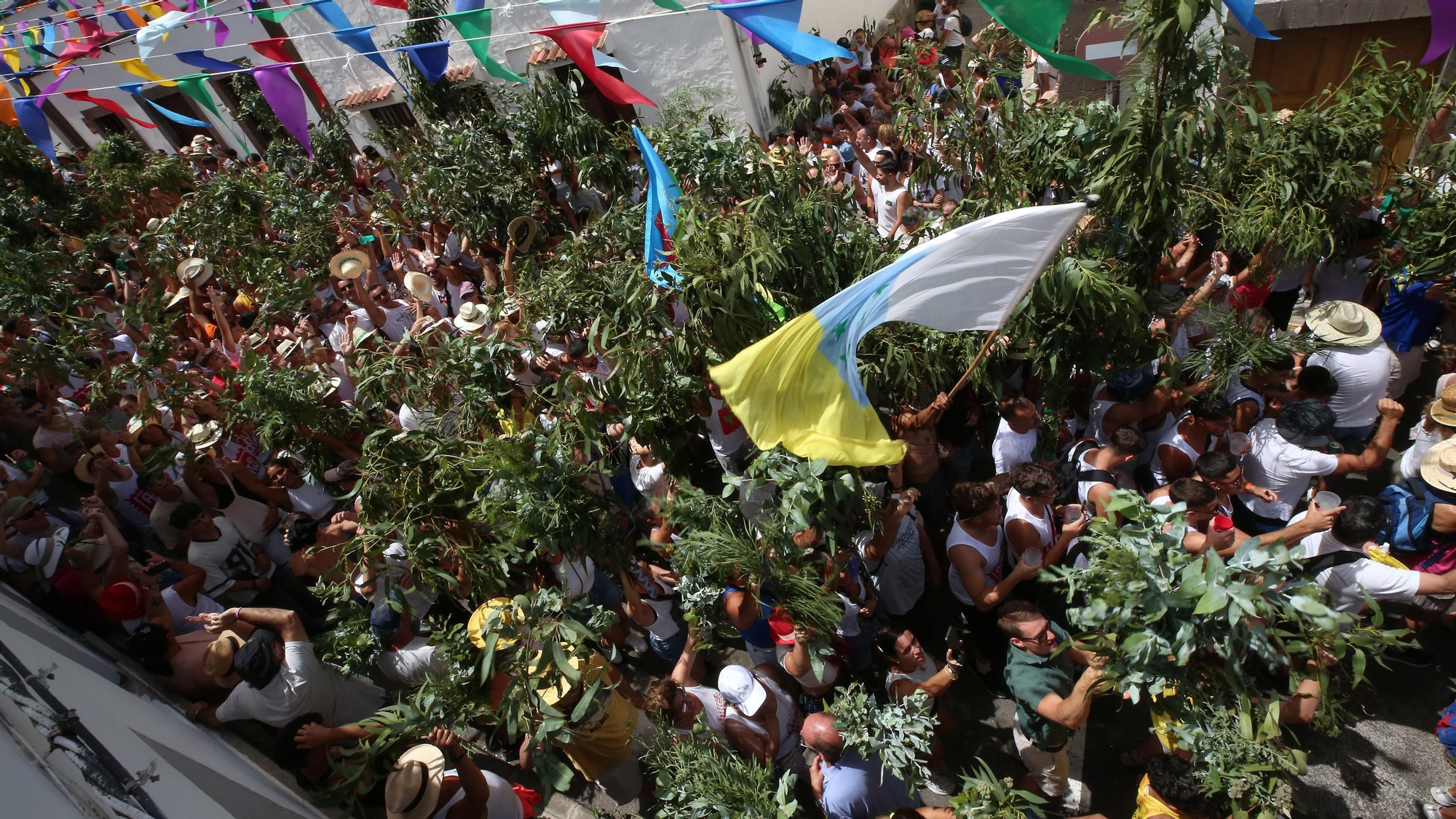 Galería de imágenes de La Rama 2025