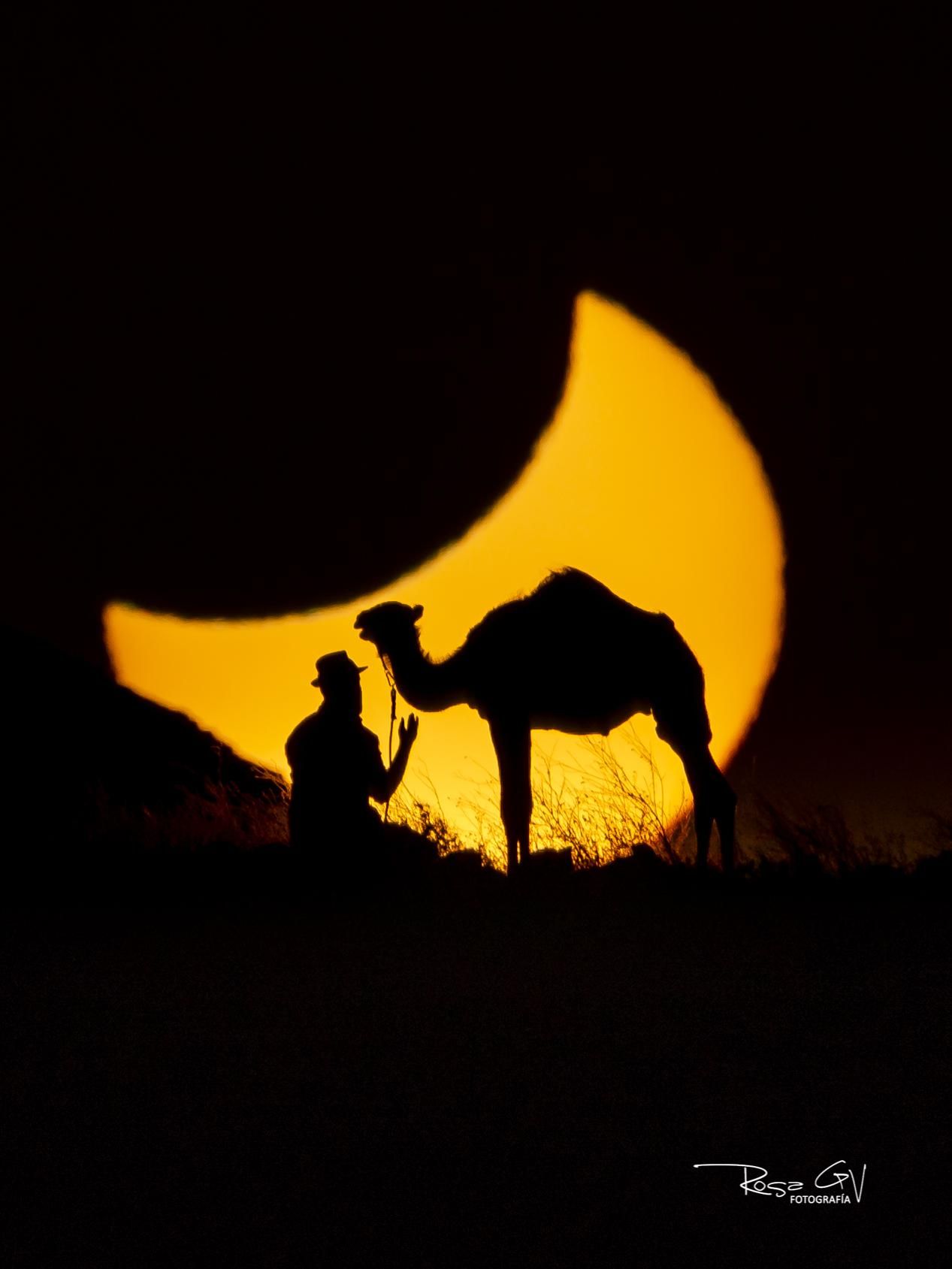 Camello y camellero observan el eclipse solar del día 12 de Agosto de 2026. Autora: Rosa García
