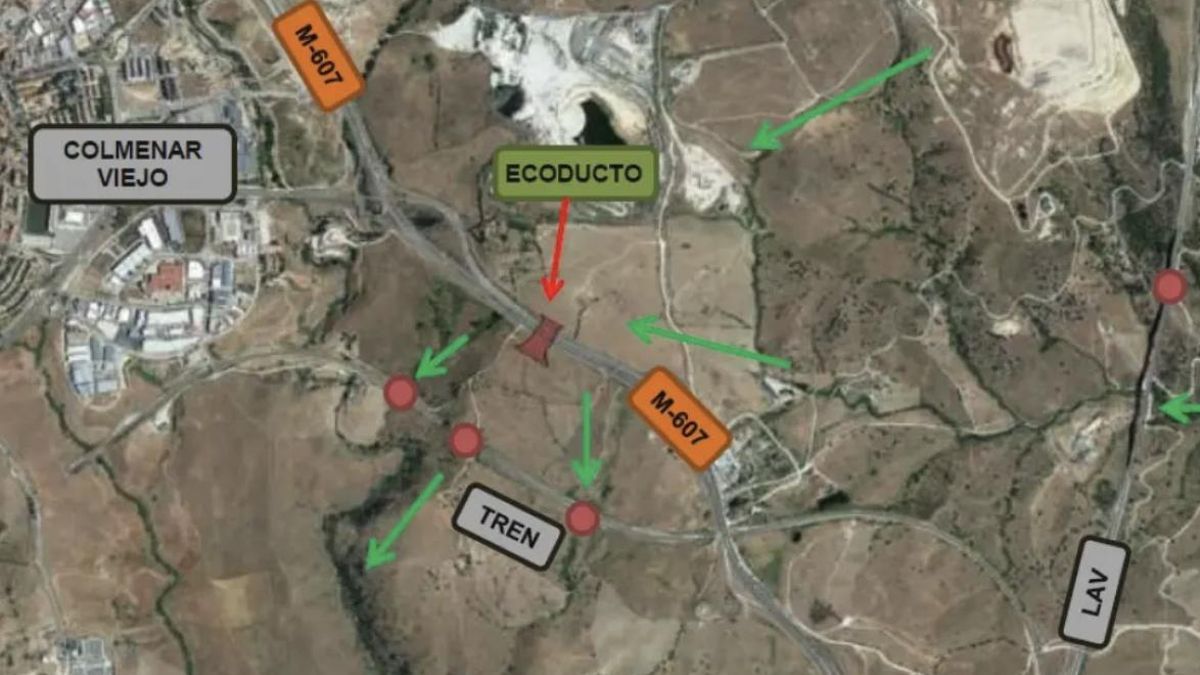 La expansión urbana corta rutas y eleva muertes de fauna