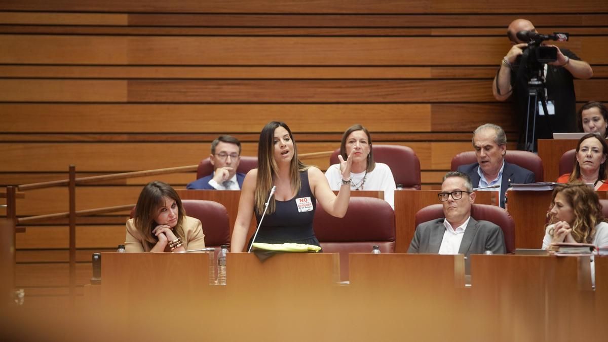 Intervención de la procuradora socialista Nuria Rubio en el Pleno de las Cortes de Castilla y León. 