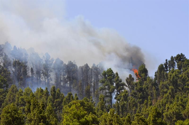 El frente sur del incendio forestal de La Palma en las proximidades del asentamiento rural de Los Canarios.