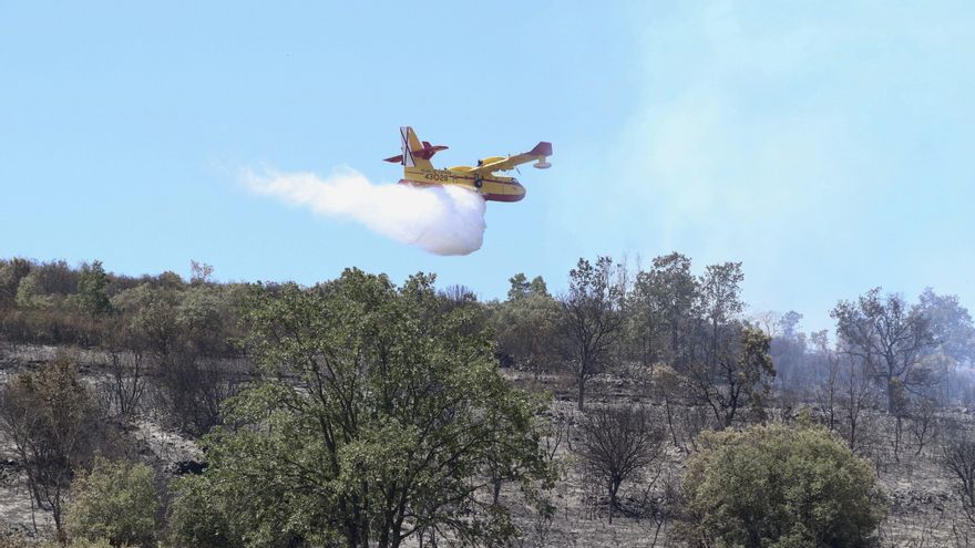 Una veintena de pueblos están desalojados en Castilla y León con los incendios de Losacio y Cebreros como los más peligrosos