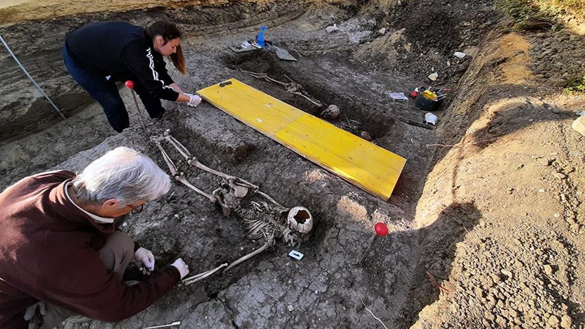 Trabajos arqueológicos en las fosas de Alcalá del Río (Sevilla).