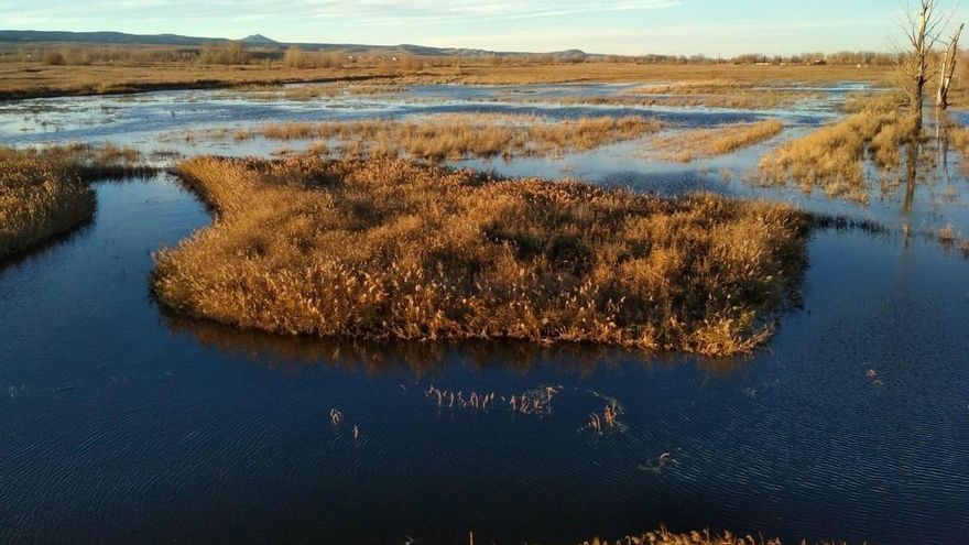 El sedimento de hace 135.000 años de una laguna de Teruel que ayuda a combatir la desinformación climática