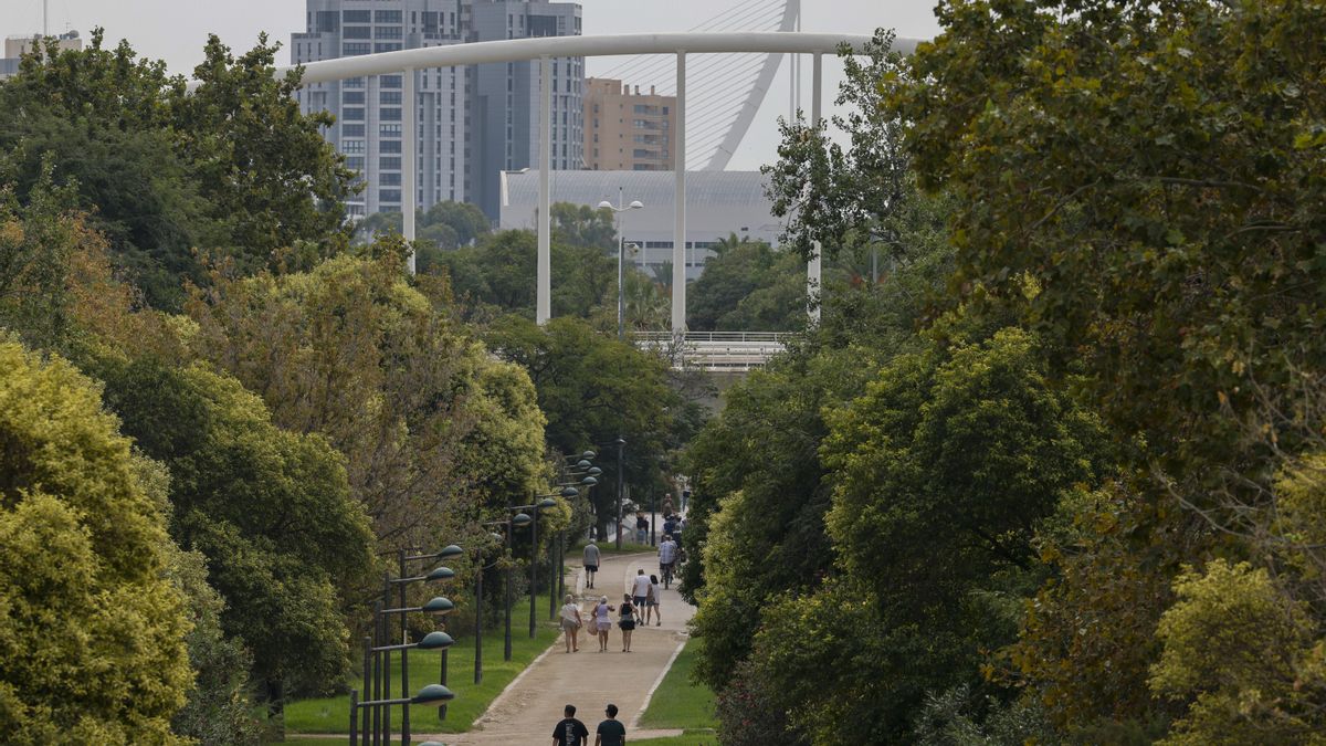 El Jardí del Túria, davall mínims a l'estiu: la Policia veu obsolets els equips de seguretat i denuncia la falta de personal de jardineria