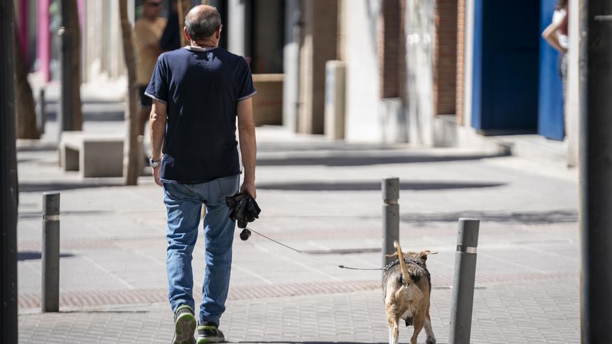 Un hombre pasea a un perro