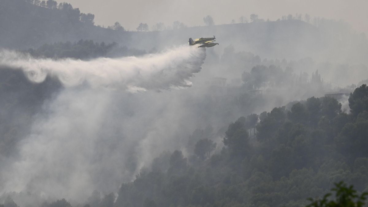 El Consell d'Informatius de À Punt denuncia la "lentitud" en la cobertura del incendio de La Vall d'Uixó: "El informativo abrió con Madrid"