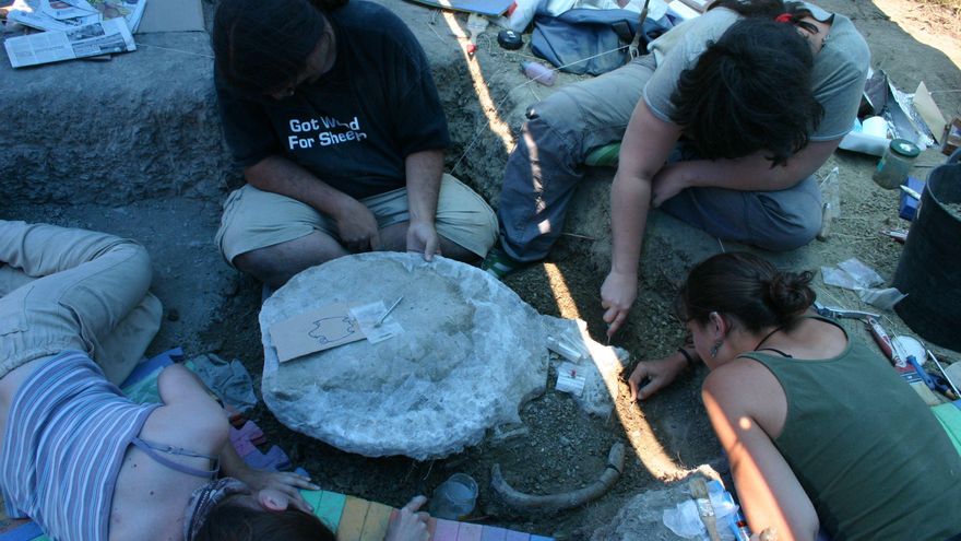 Las tortugas "marinas" desovaban en Huesca hace 42 millones de años