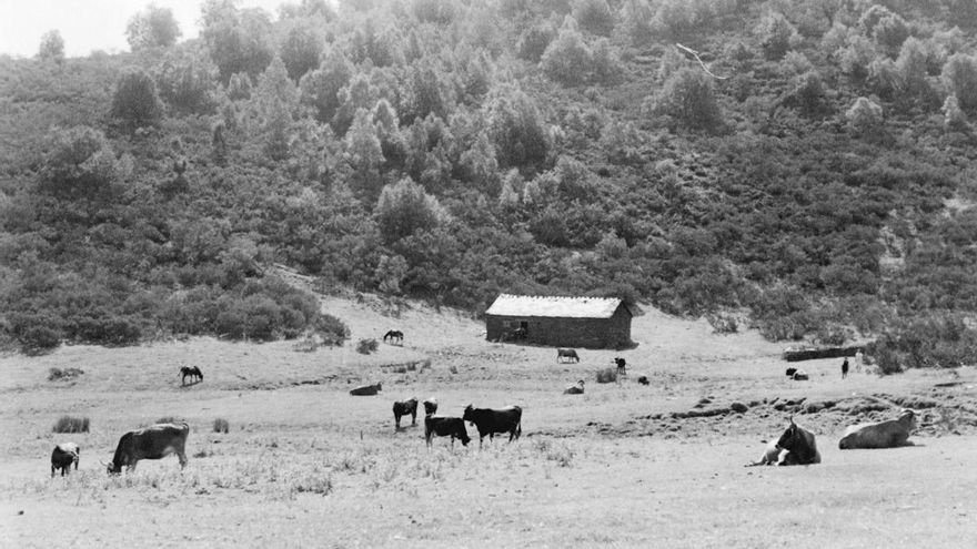 Imagen antigua de la braña Buenverde.
