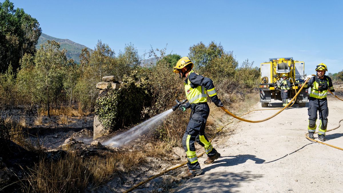 Efectivos luchan contra las llamas del incendio forestal declarado en el término municipal de Navaluenga (Ávila), este sábado.