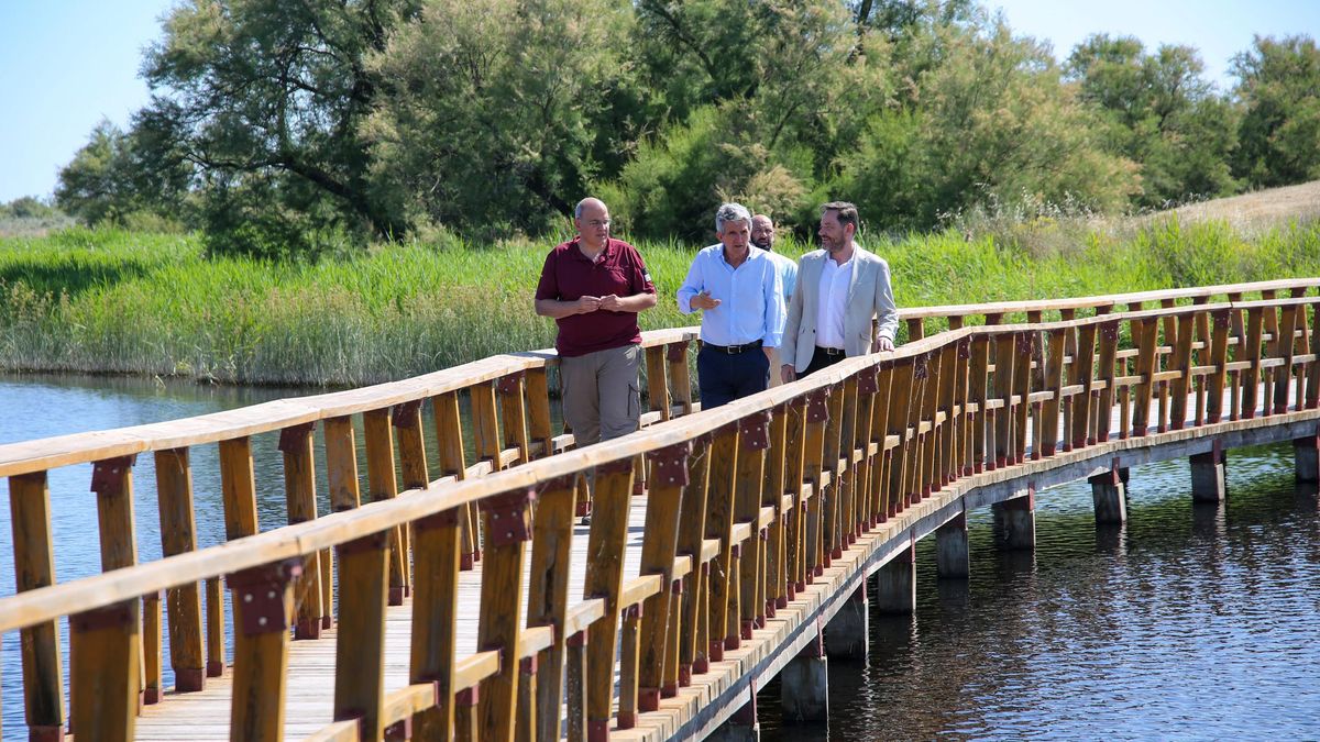 Las Tablas de Daimiel roza su máximo de agua almacenada, pero preocupa la escasez en el subsuelo
