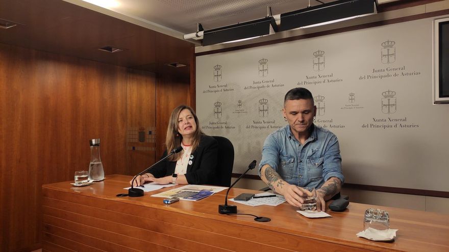 Once direcciones locales de Podemos en Asturias lamentan "el mal hacer" de los partidarios de la candidata autonómica