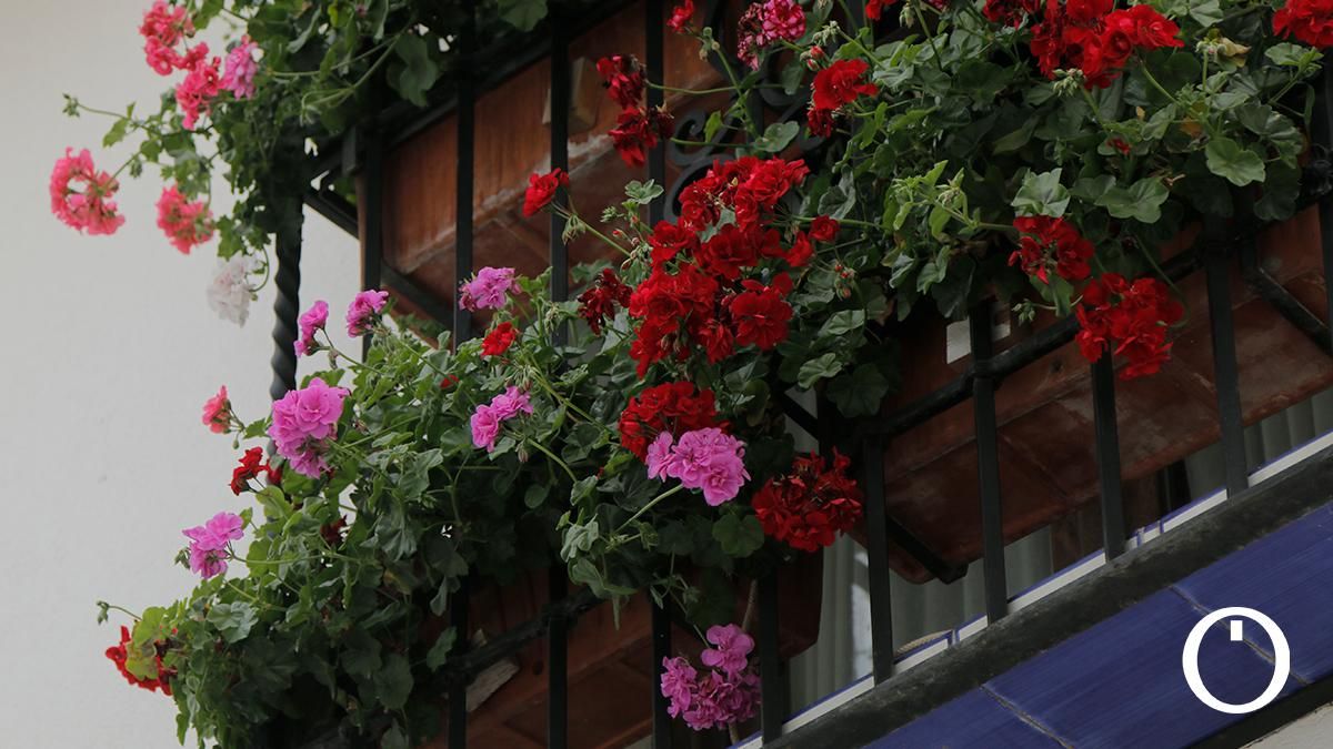 Rejas y Balcones en la C/ Martín de Roa, 2
