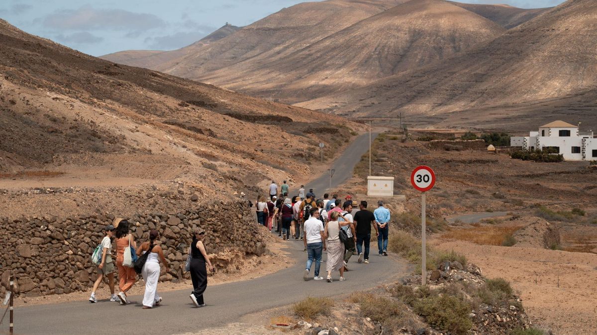 El Gobierno de Canarias impulsa la creación un banco de semillas antiguas en Fuerteventura