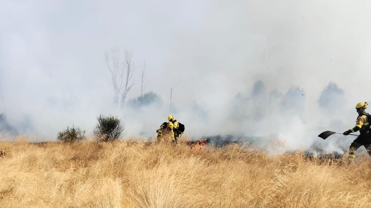 Numerosos medios consiguen controlar las llamas del incendio forestal en Villamontán de la Valduerna