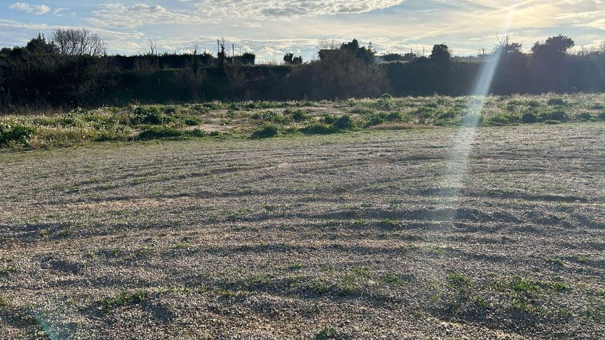 Ni rastro de la restauración exigida del soto que arrasó el festival Holika de Calahorra
