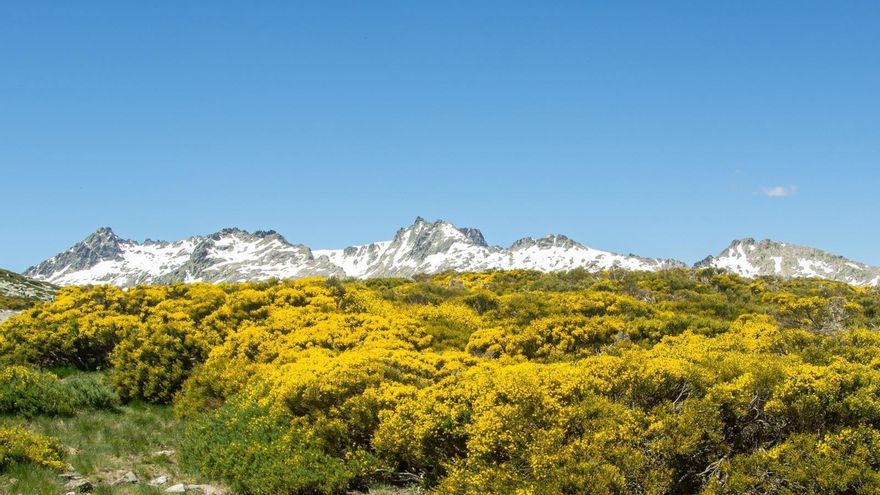 El pueblo de la Sierra de Gredos con una ruta a 1.520 metros de altitud y rodeada de pinares