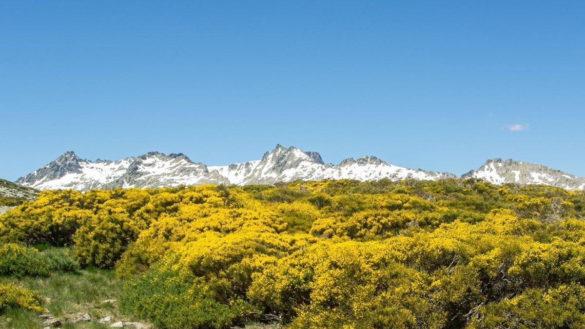 El pueblo de la Sierra de Gredos con una ruta a 1.520 metros de altitud y rodeada de pinares