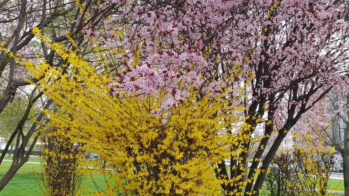 El tiempo hoy en León, martes 31 de marzo: cielos despejados y ligera subida de temperaturas