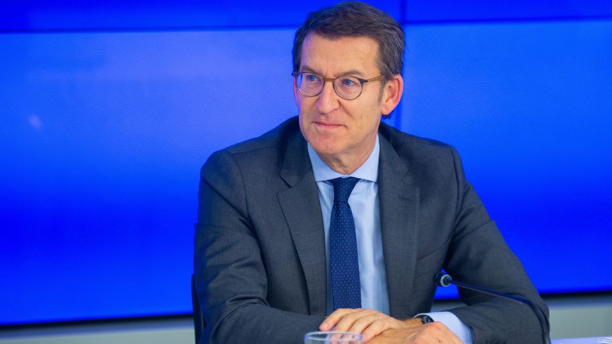 El presidente del Partido Popular, Alberto Núñez Feijóo.