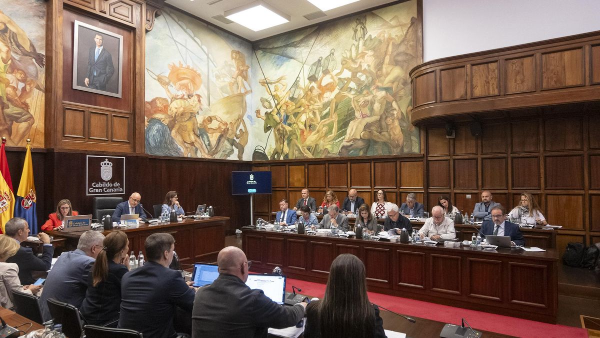 Pleno del Cabildo de Gran Canaria celebrado este lunes.