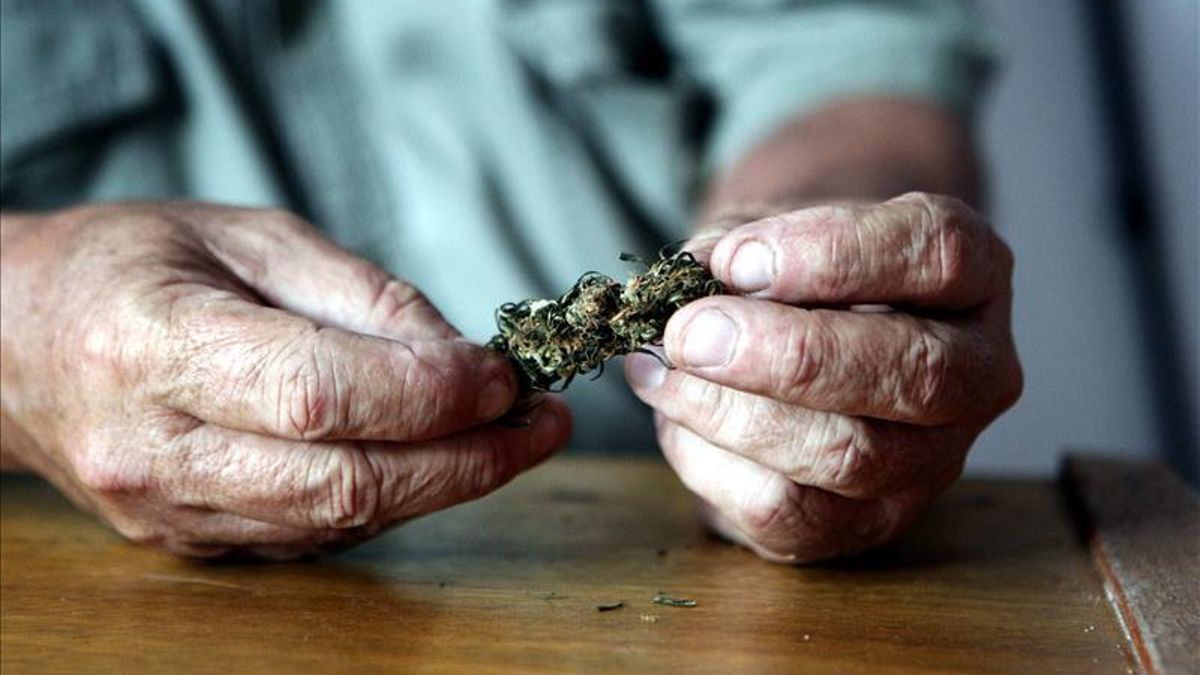 Uruguay prepara a sus agentes para controlar el uso de marihuana al volante