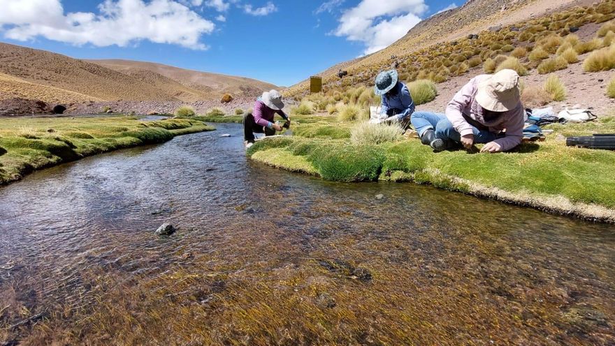 El Gobierno busca disolver el Instituto Nacional del Agua, un organismo clave para prevenir inundaciones y sequías