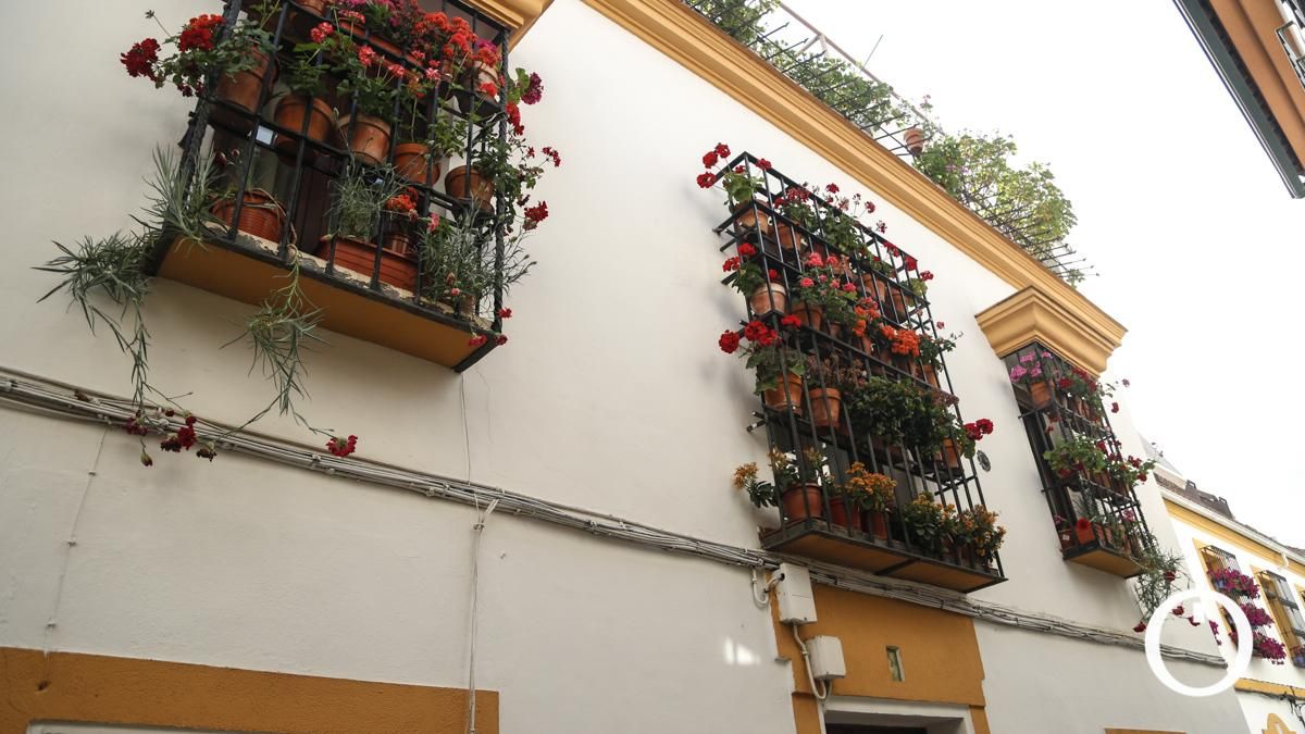 Rejas y Balcones en la C/ Cidros, 4